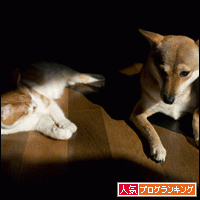 人気ブログランキングへ